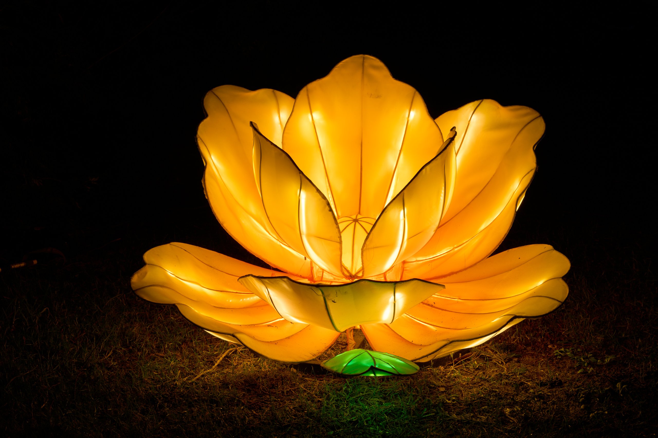 2026 02 03 Parkleuchten 0265